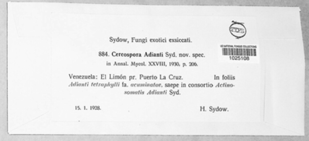 Pseudocercospora adianti image